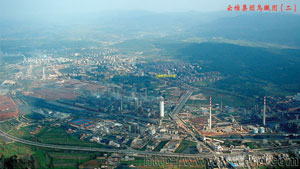 ��ά���Ŵ�Ϊ�ư���˾���50��...