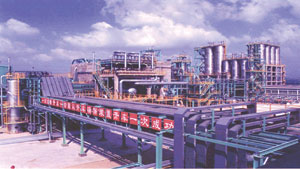 ��ʯ���ɷݹ�˾��³�ֹ�˾����ϩ...