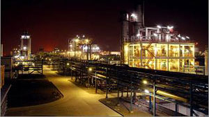 �����󰲻�ѧ��������ά����Ŀ