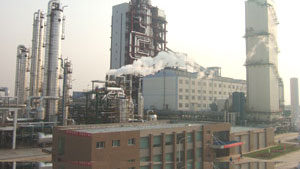 ����ʡ��ԭ�󻯼������50���...